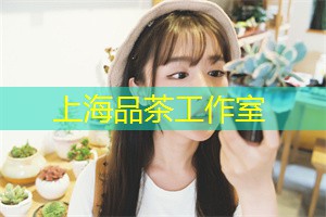 爱上海同城交友：感受到上海作为国际大都市的活力