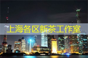 上海龙凤419：小浔江历险记