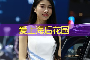 <strong>上海品茶网</strong>：中国游客数量正在逐步复苏，美国华盛顿特区旅游局来华路演