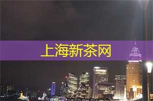 上海新茶工作室：与上海新茶工作室共同探索未来茶叶趋势，开启前沿茶叶品味之旅！