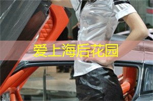 爱上海龙凤419：上海后花园湖泊生态系统，邀你亲身感受大自然之美！