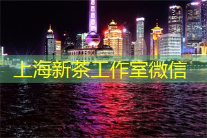 上海娱乐网：上海互联网与体育的交叉创新