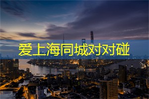 <strong>上海品茶网</strong>：在上海的城市摄影中寻找灵感
